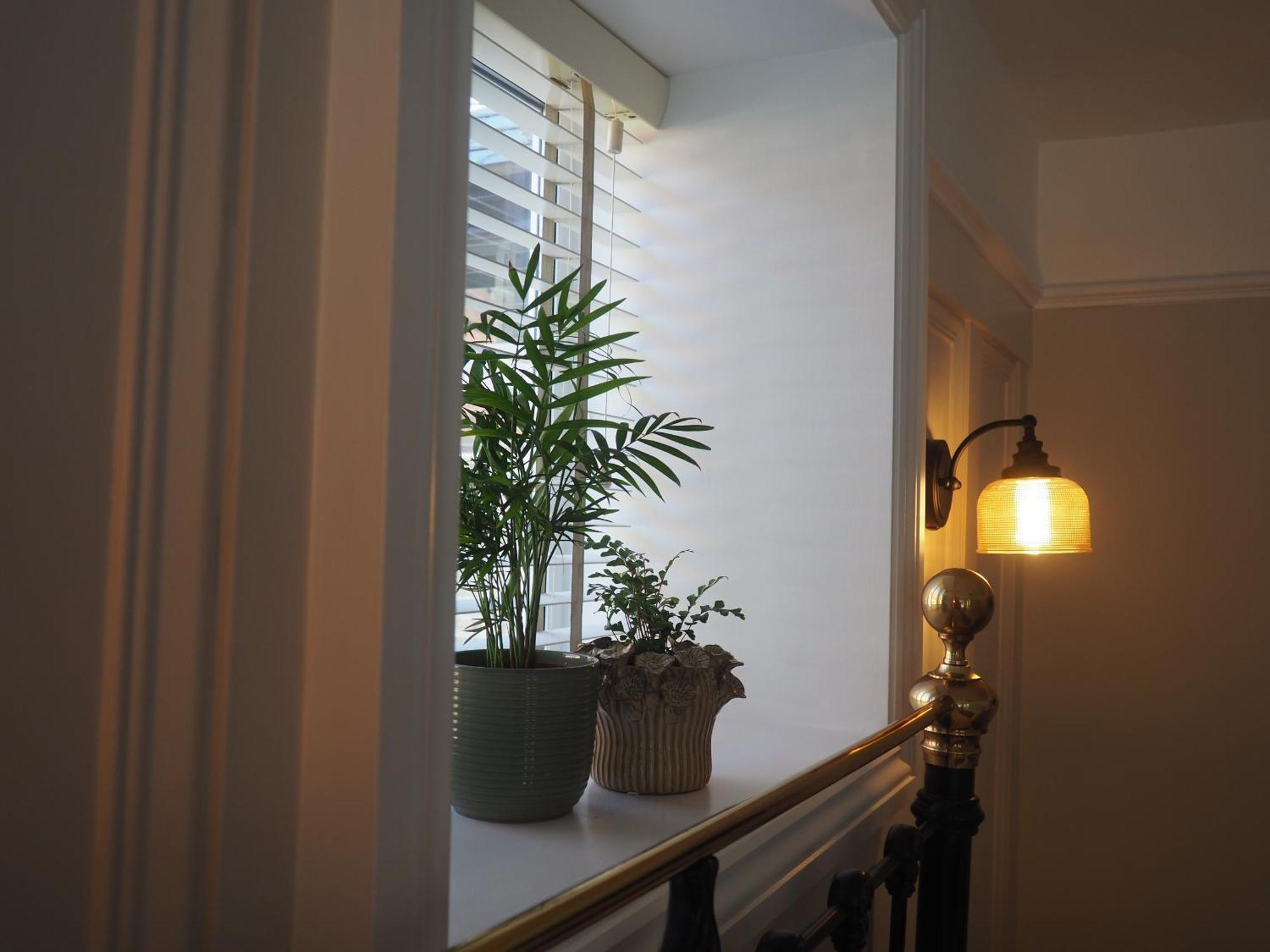 South View Guest House لينتون المظهر الخارجي الصورة